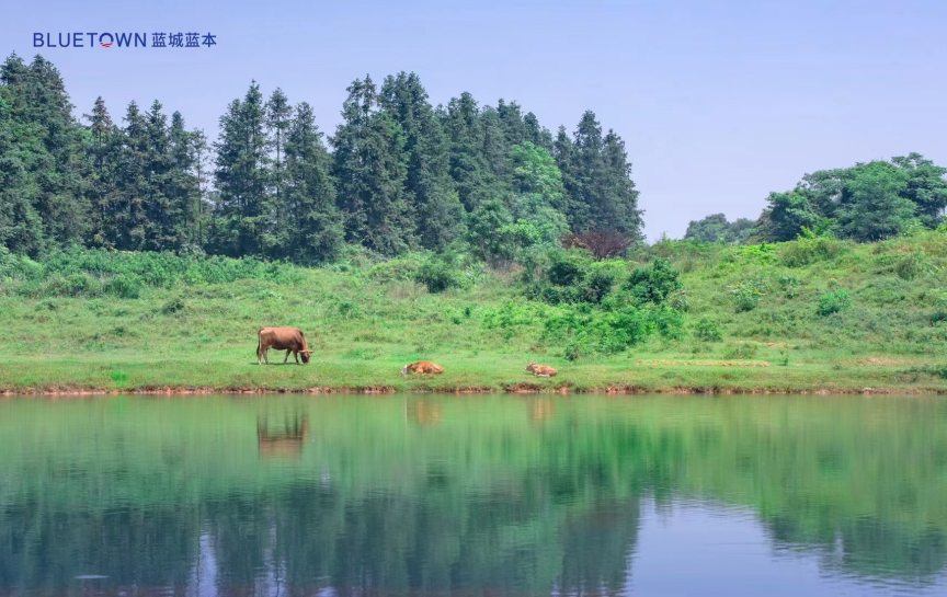 江西桃花源旅游度假区