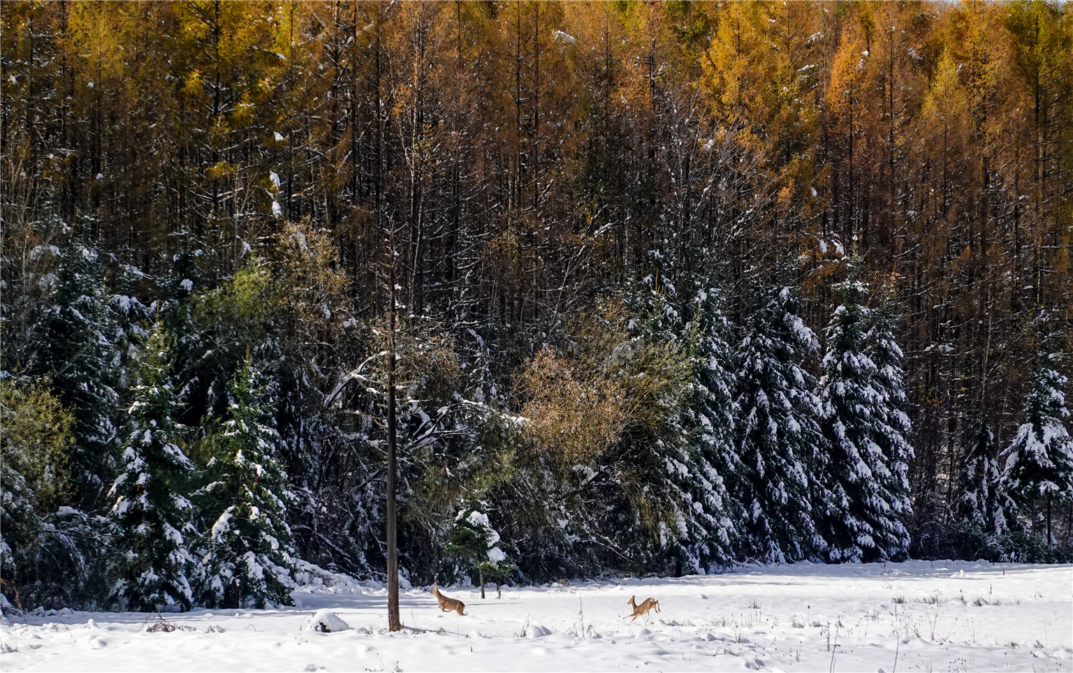 万达长白山国际度假区滑雪场