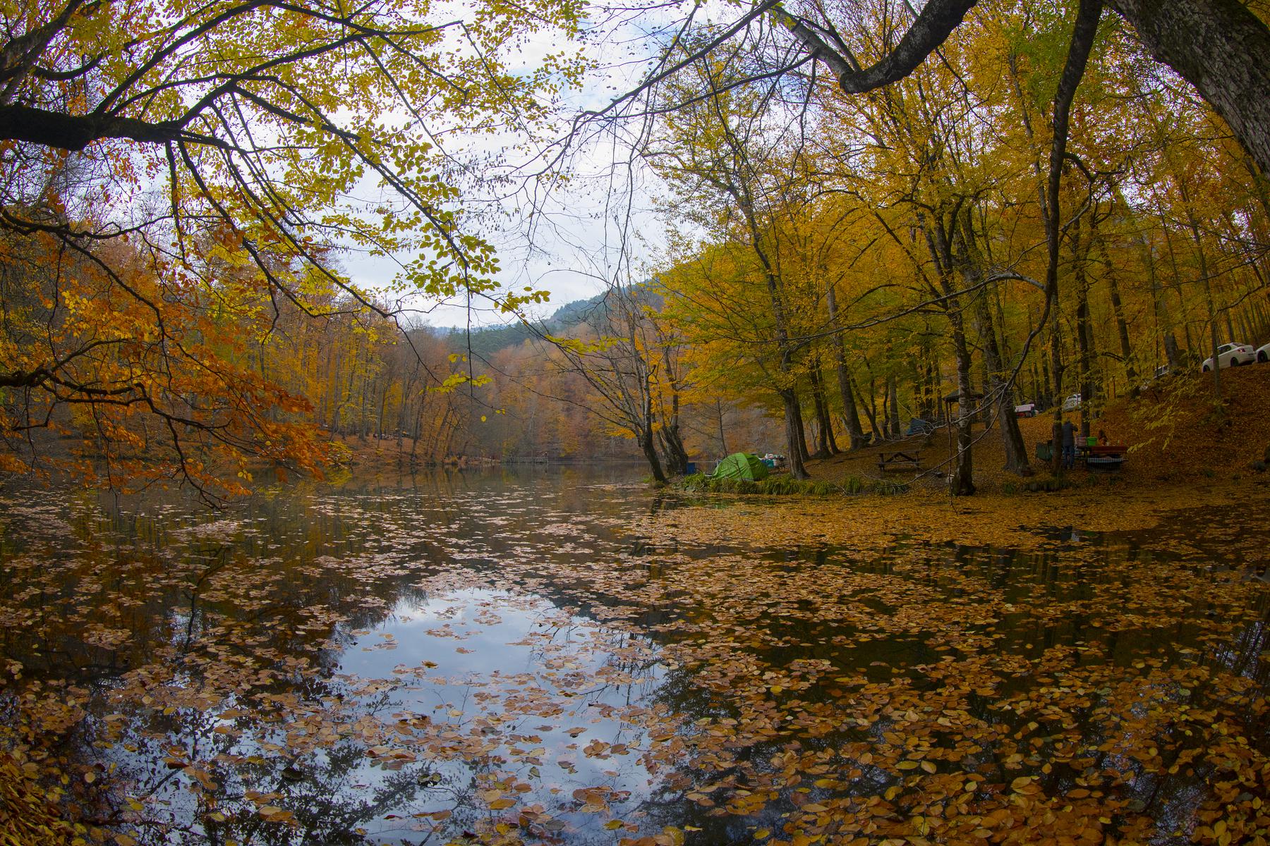 水墨汀溪风景区