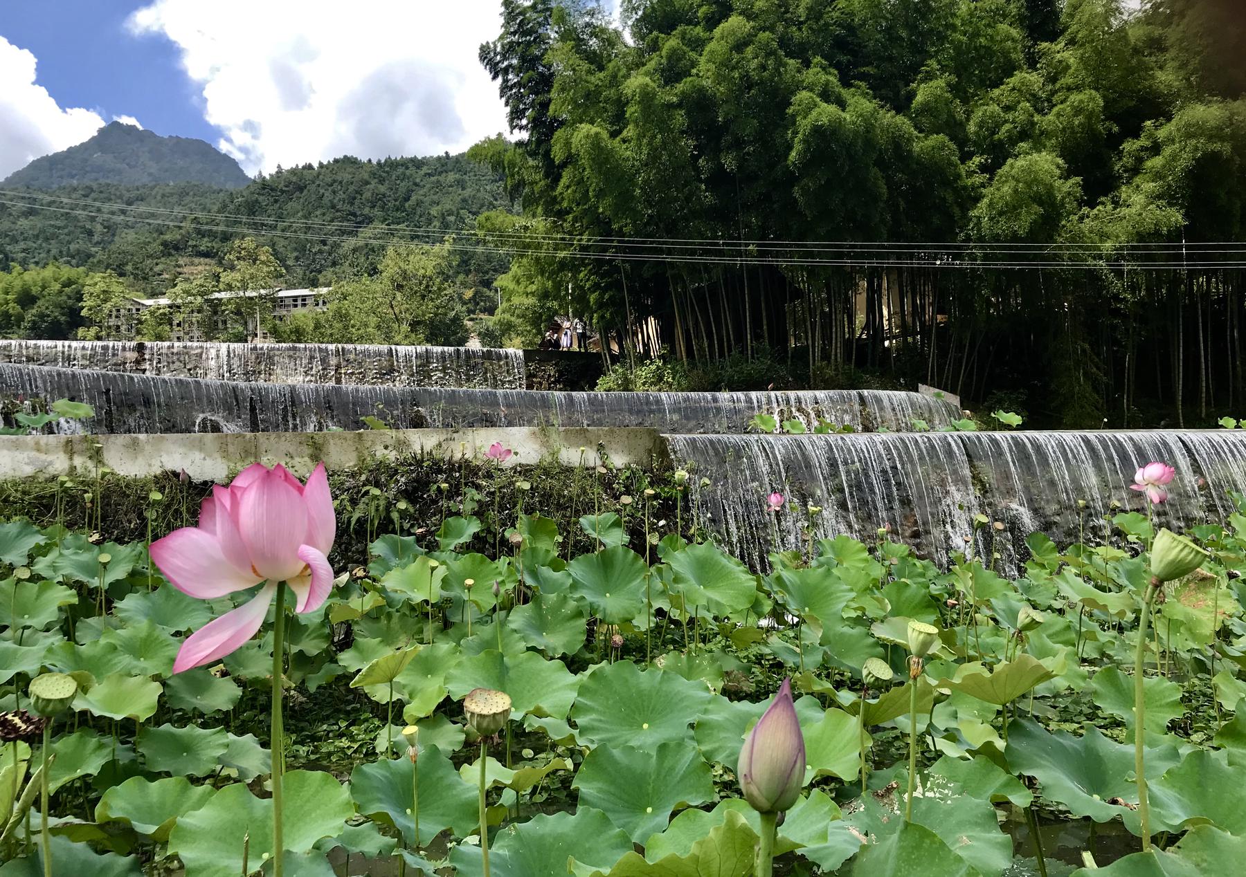 道元古村景区