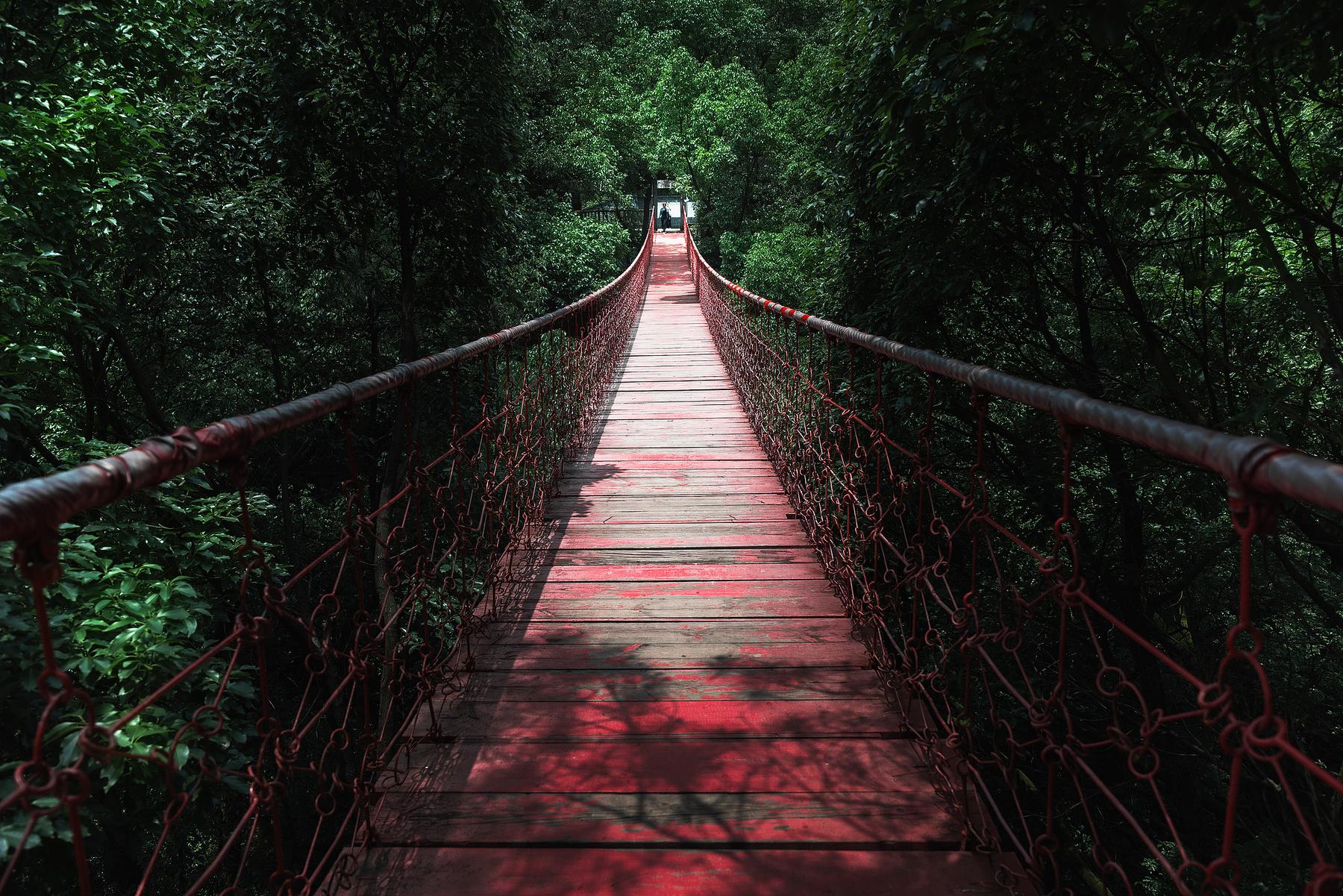 歌乐山国家森林公园