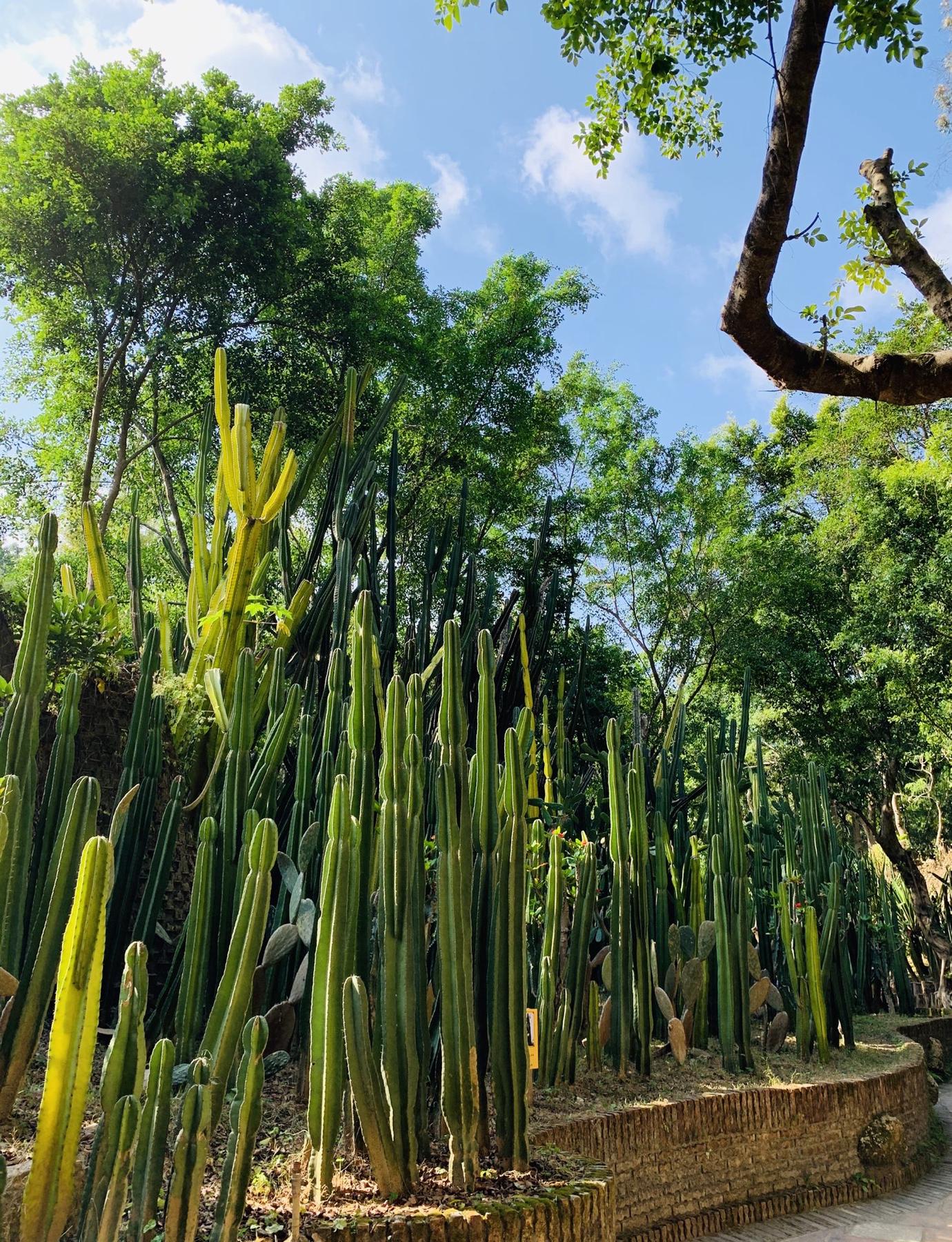 中山市仙踪龙园