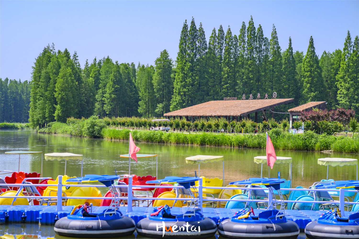 金湖水上森林景区