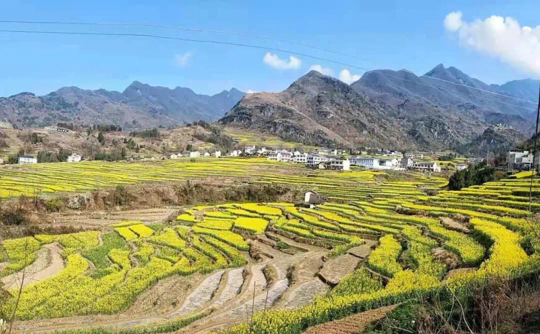 凤堰古梯田移民生态博物馆