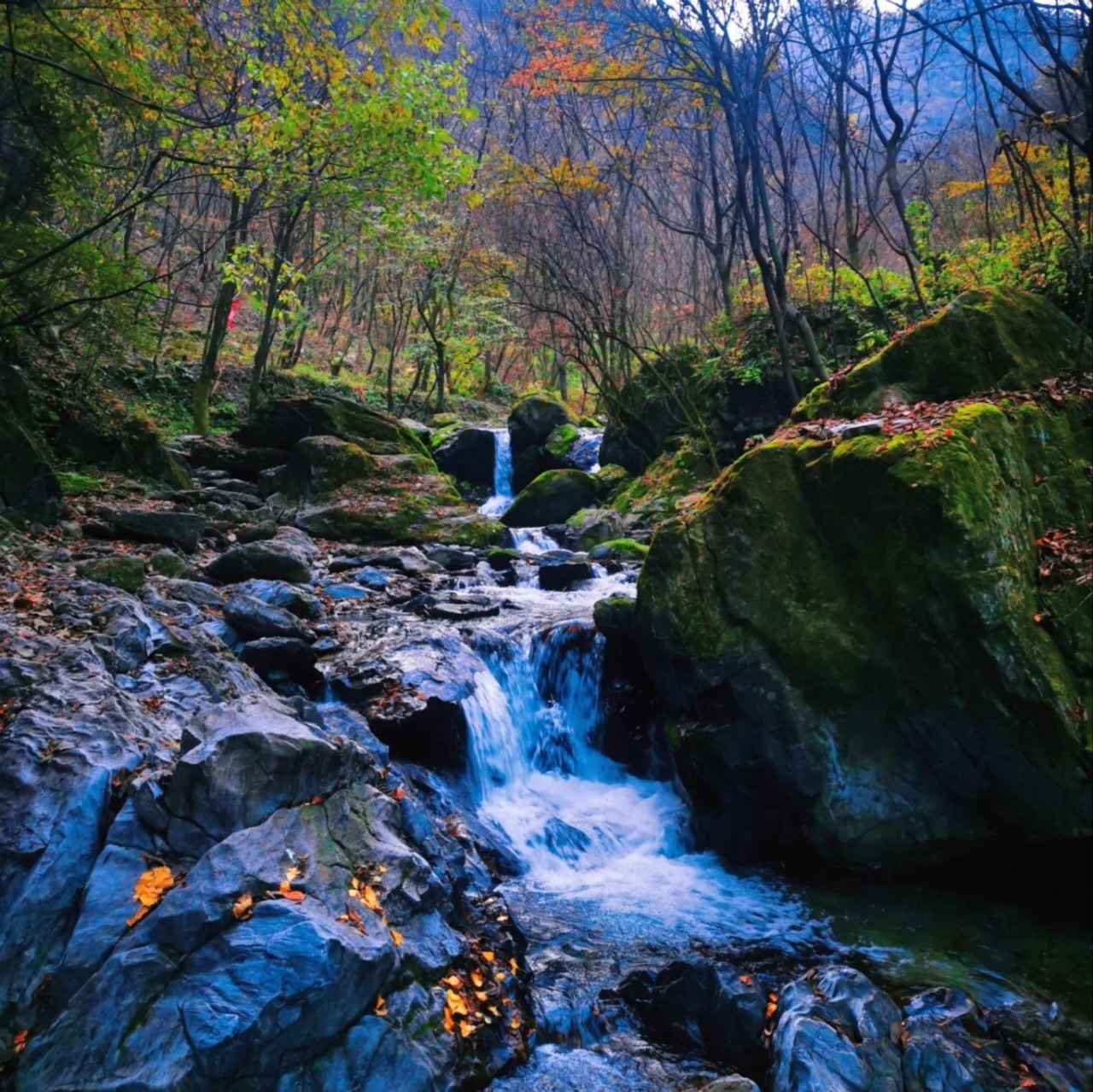 首阳山