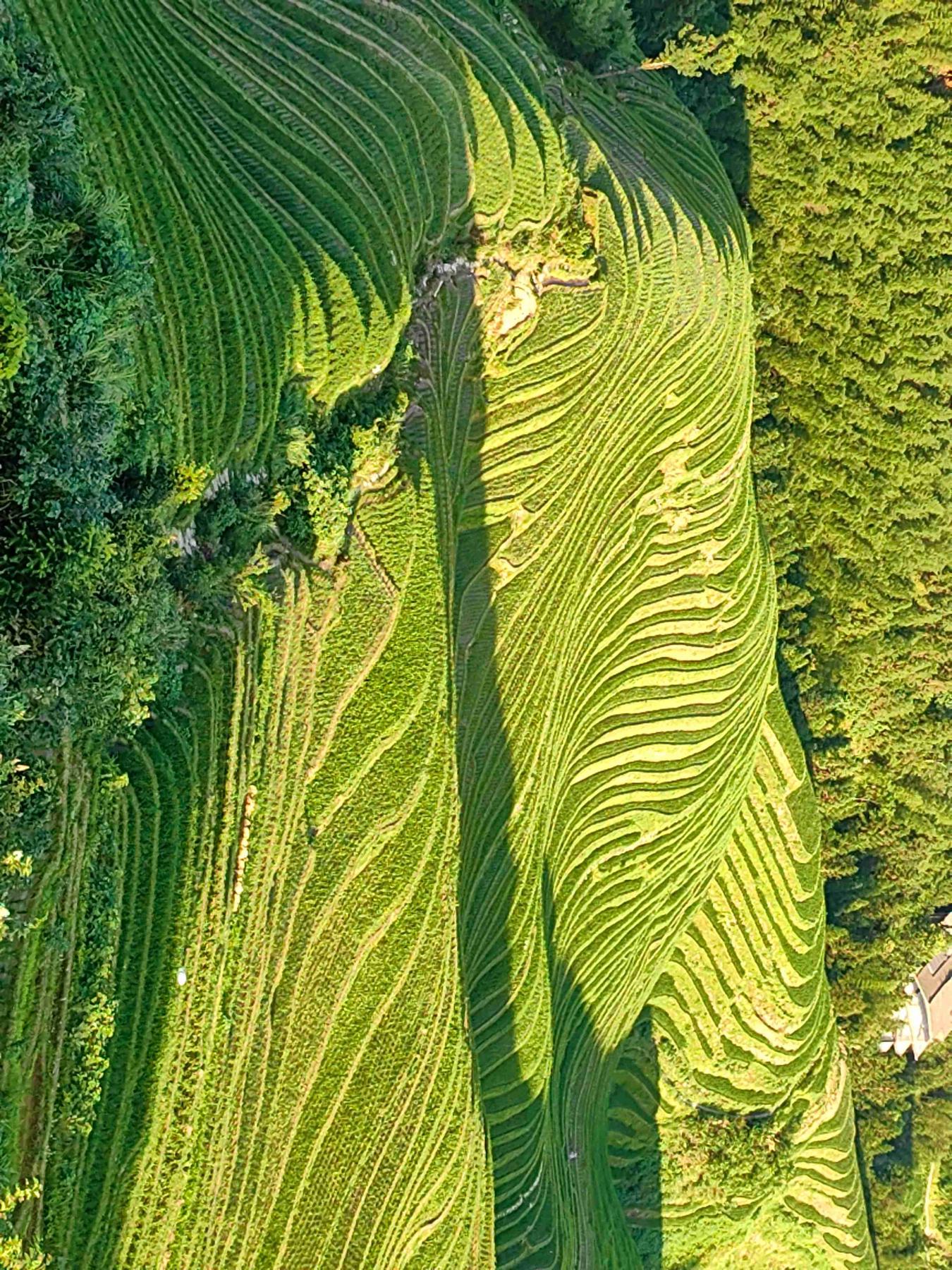 龙脊梯田风景名胜区