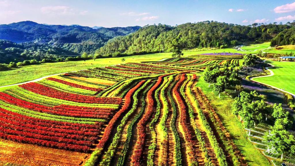 栖花岭