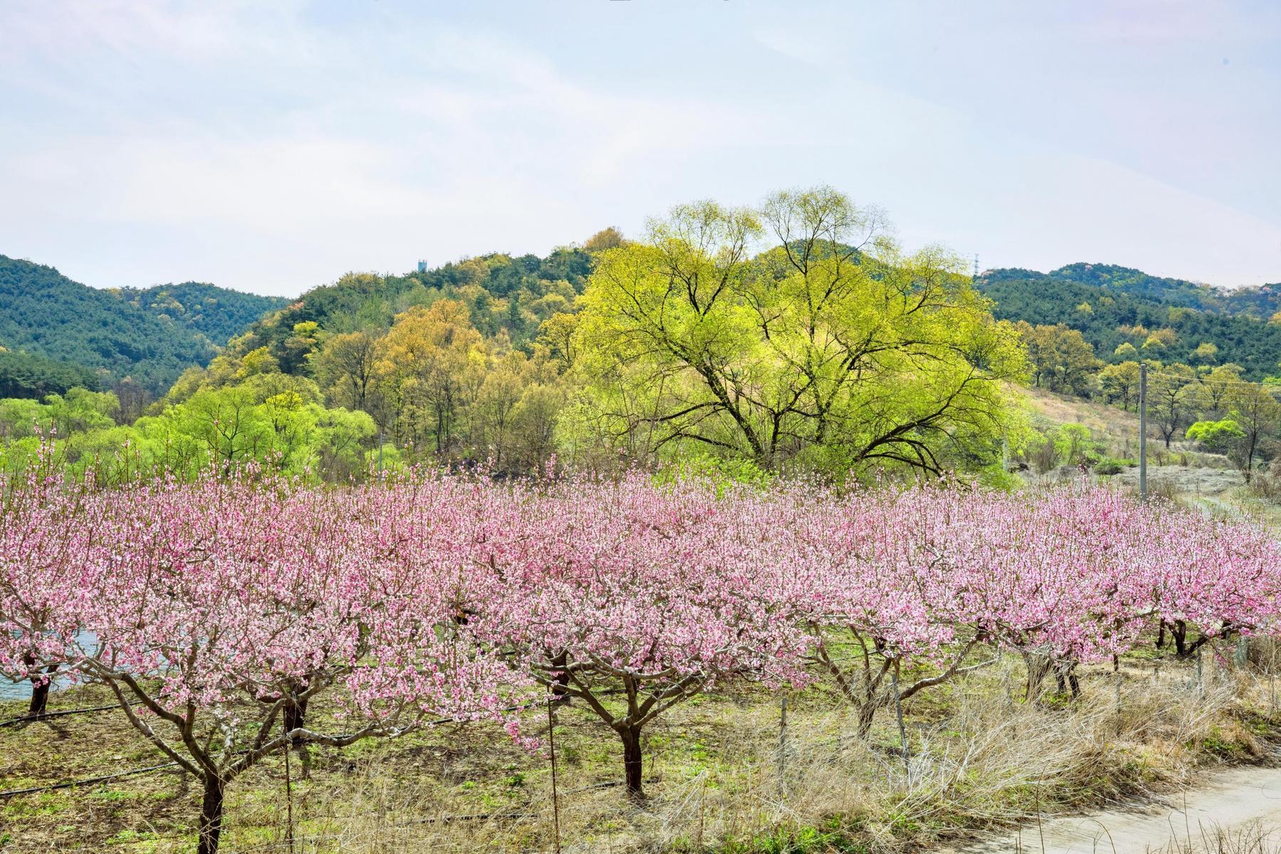 舟山桃花岛风景旅游区