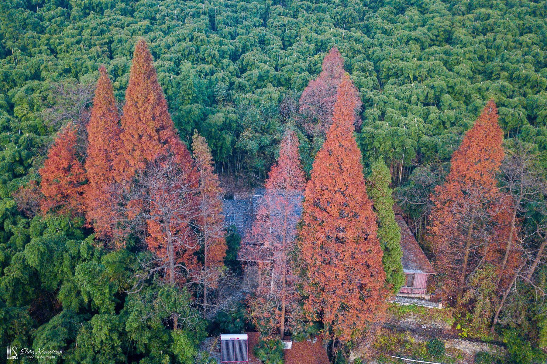 莫干山风景区