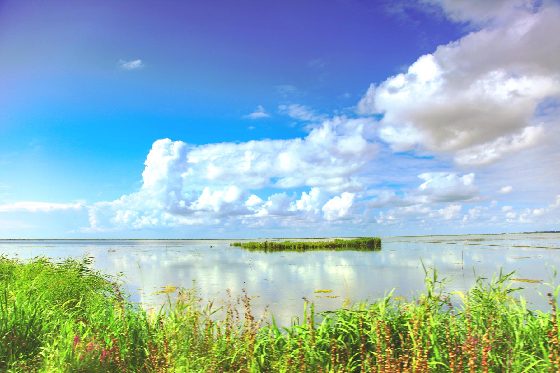 兴凯湖湿地公园