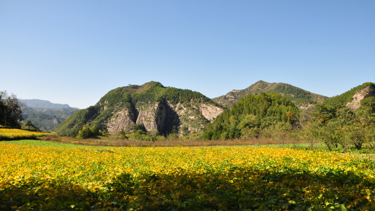 九龙山景区
