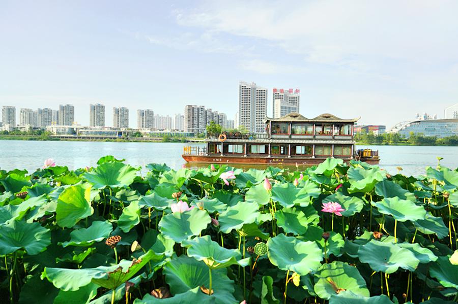 观音湖湿地公园旅游景区