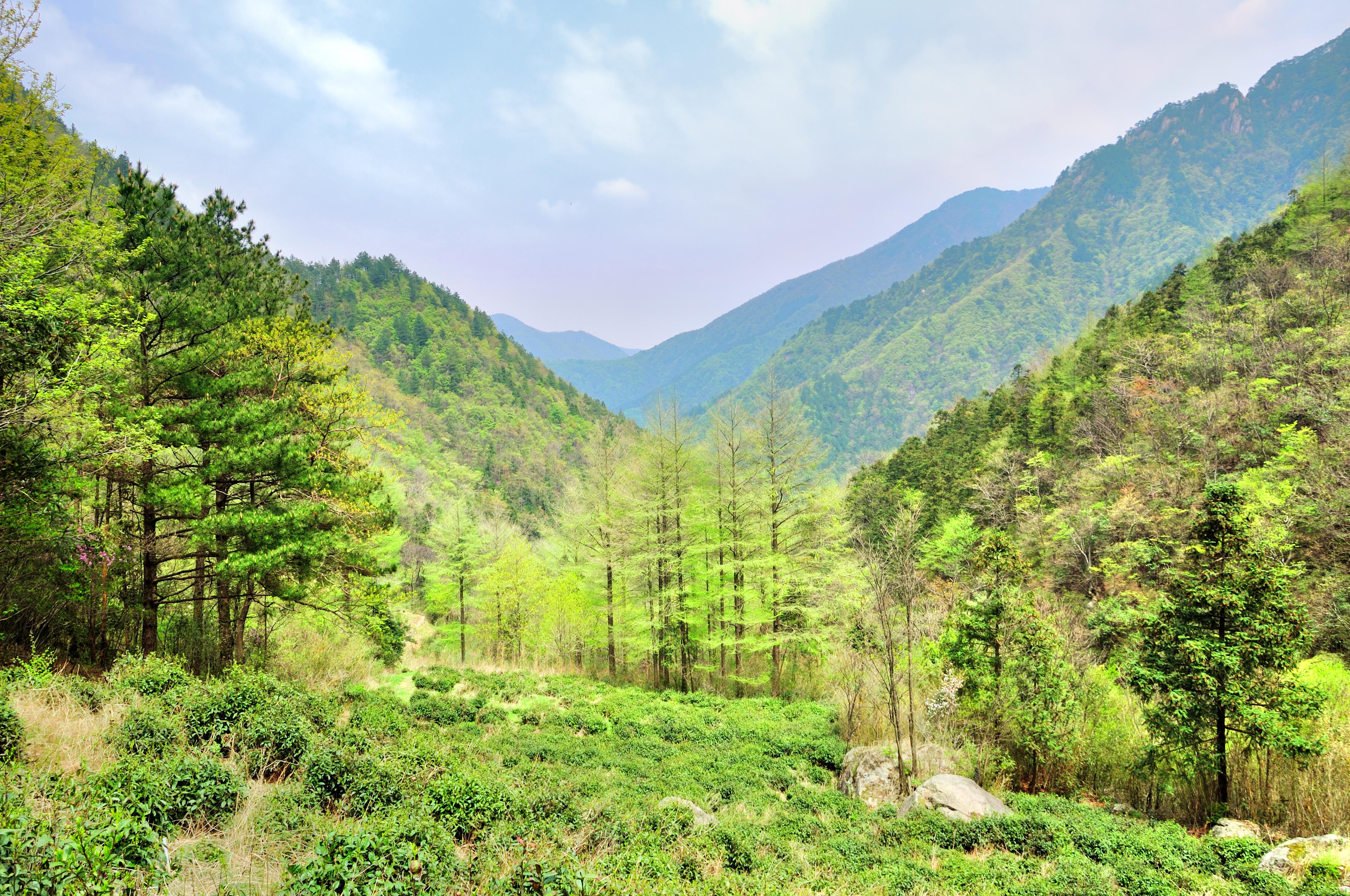 龙王山漂流