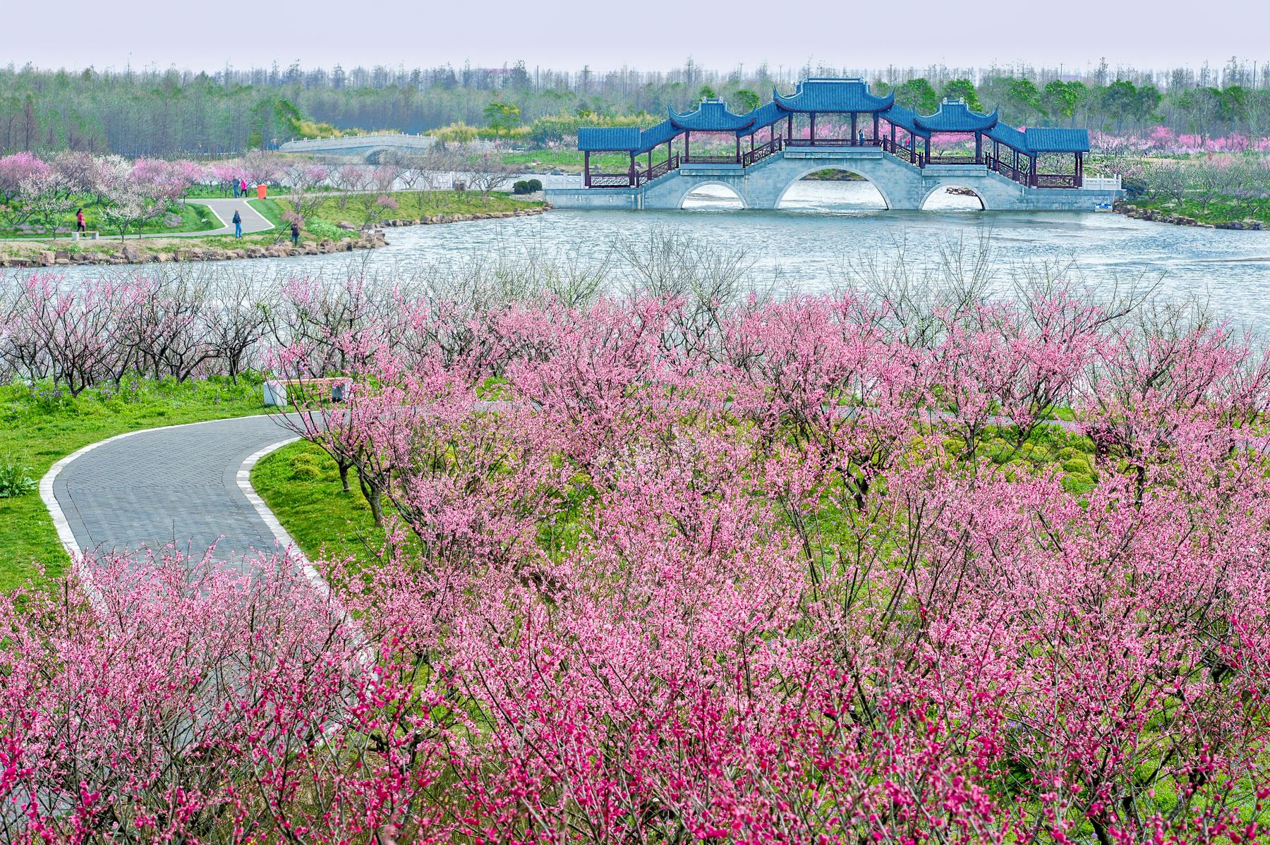 上海海湾国家森林公园