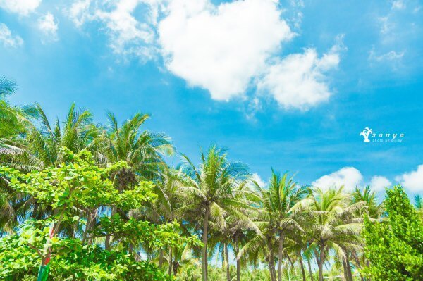 假日海滩旅游景区