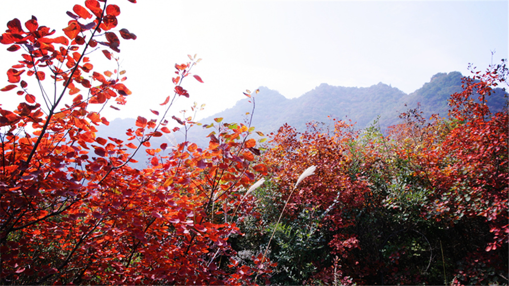 神农山风景区