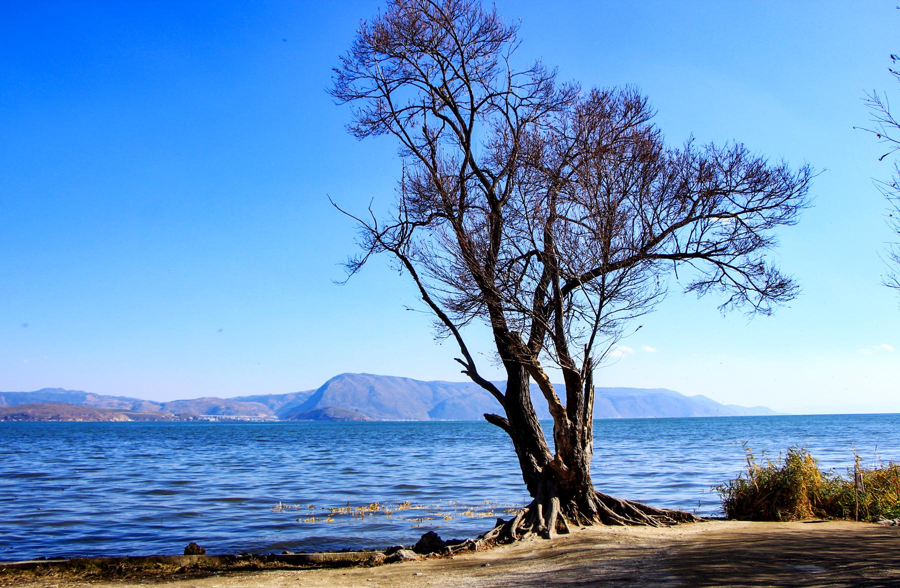 爱在海舌蜜月半岛