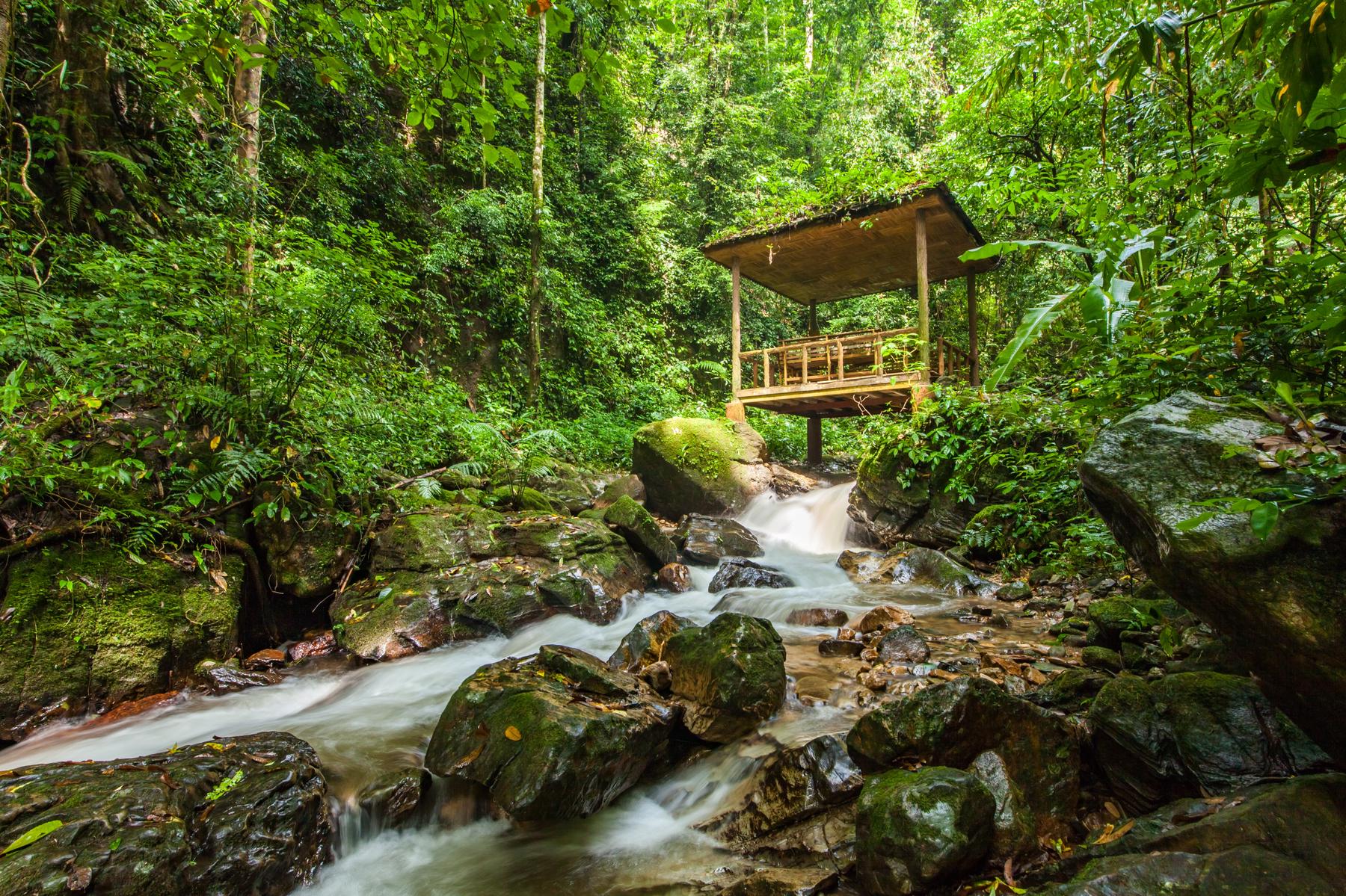 莫里热带雨林景区-出入口