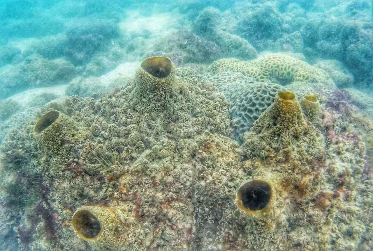 石螺口海滩