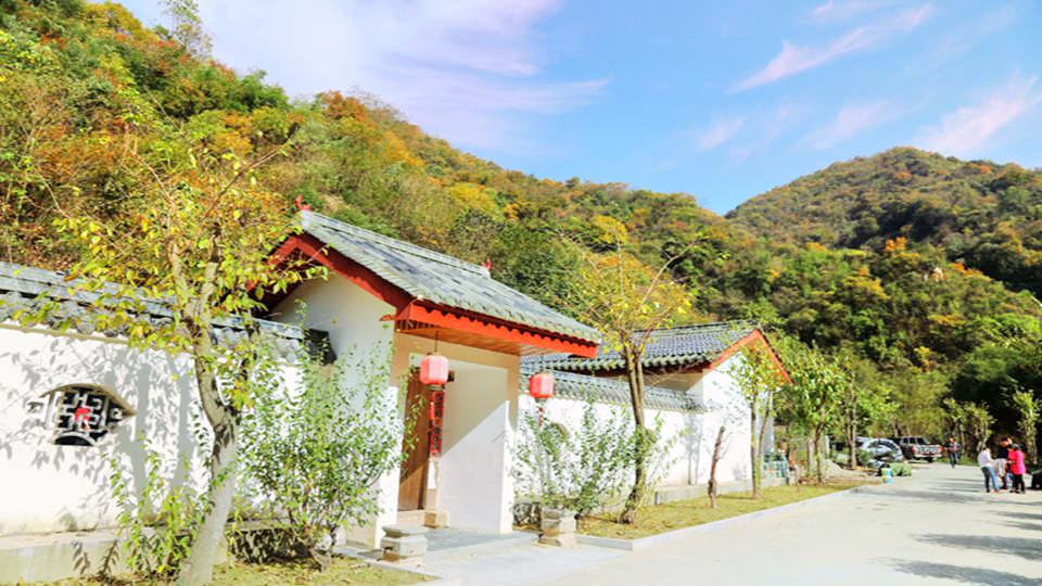 太和梅花谷风景区