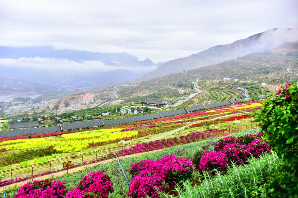 花舞人间景区