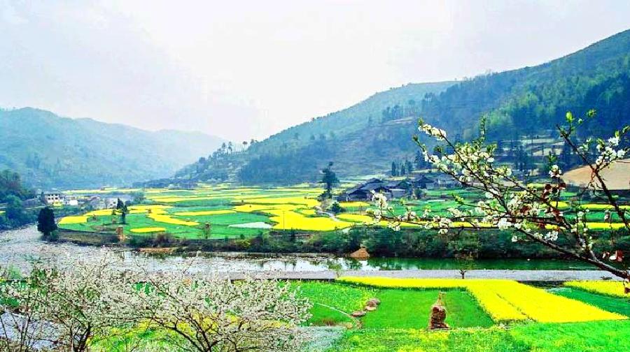 平塘掌布风景区