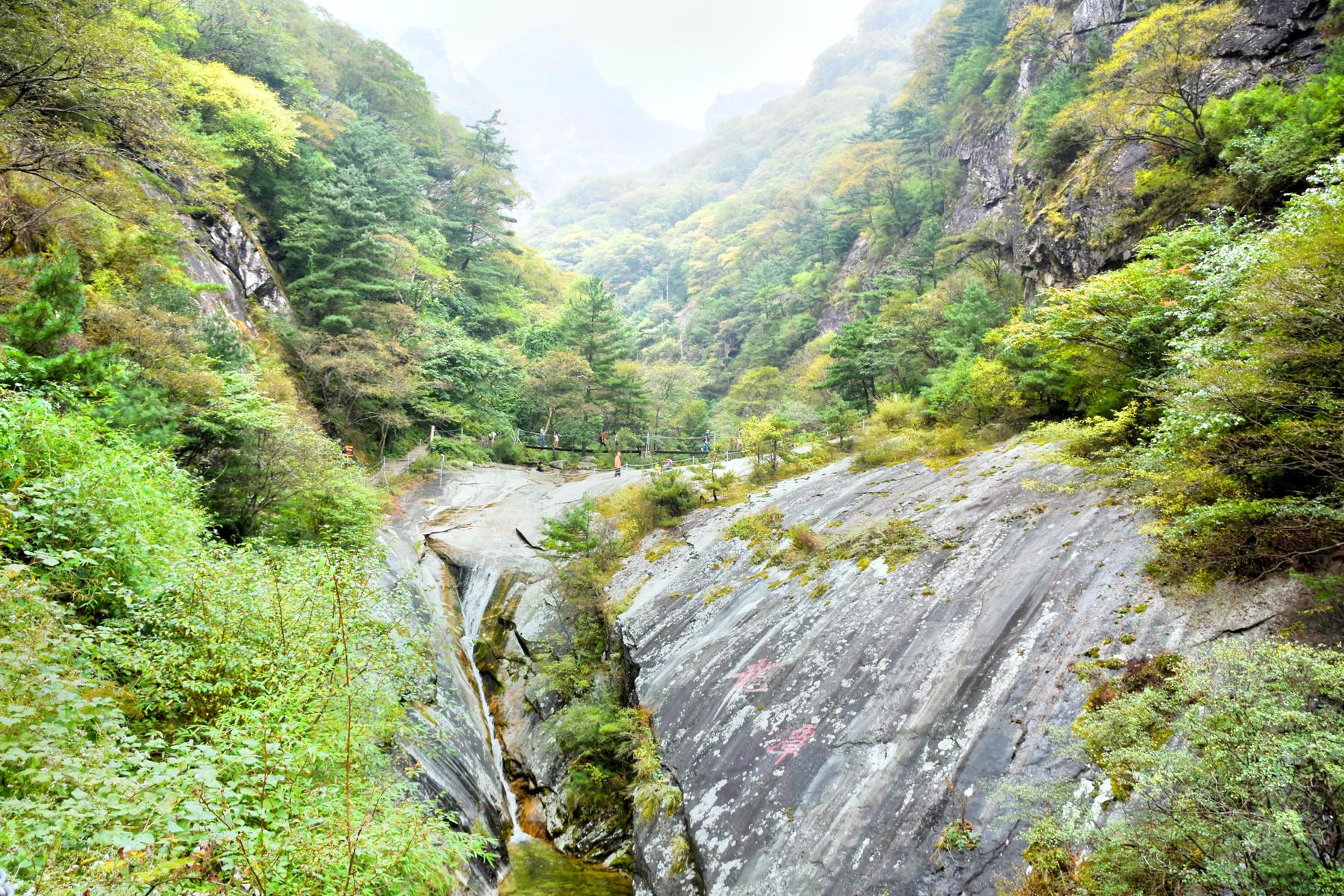 朱雀国家森林公园