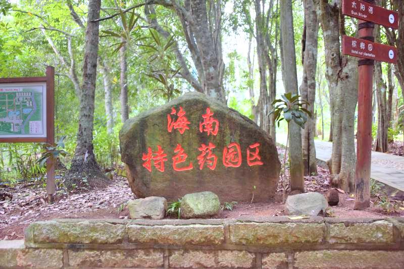 兴隆南药园