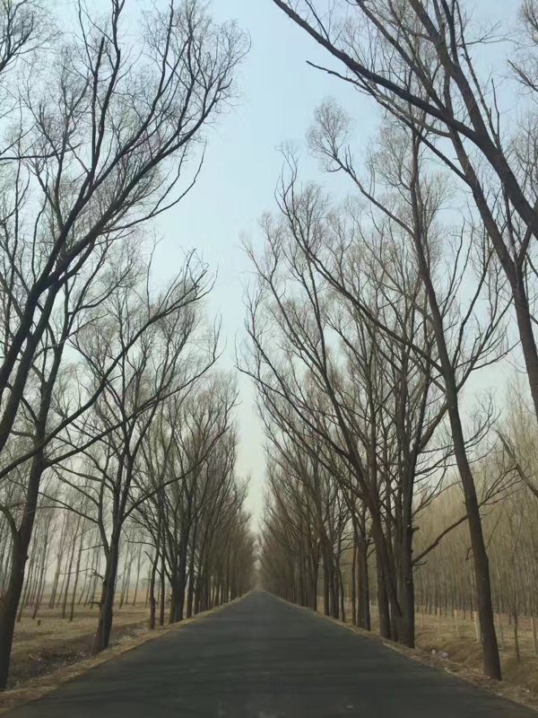 草甘沙漠风景旅游区