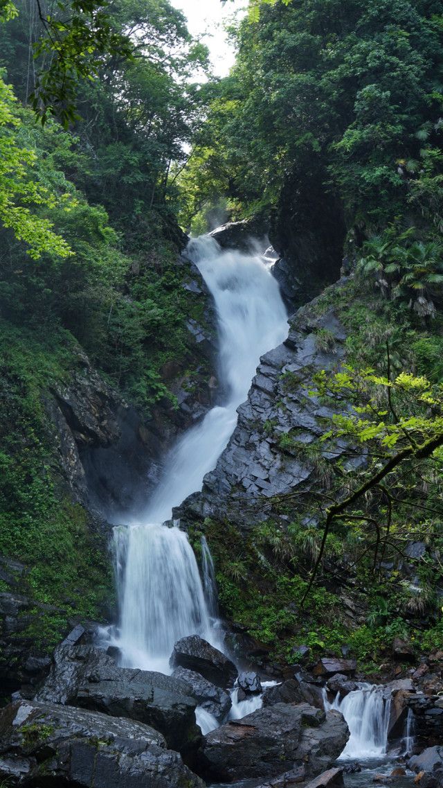 牯牛降九龙景区