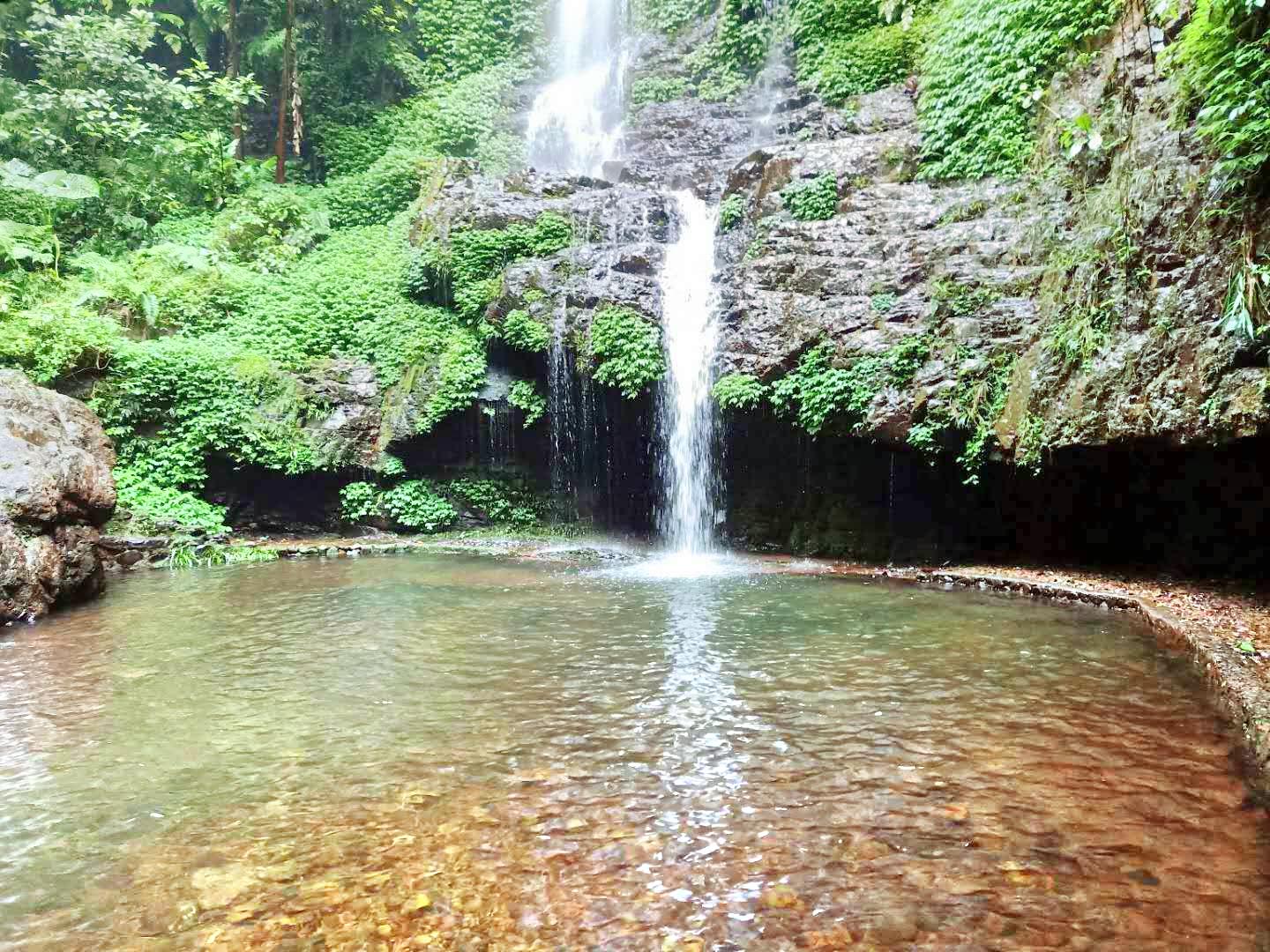 广西大桂山国家森林公园