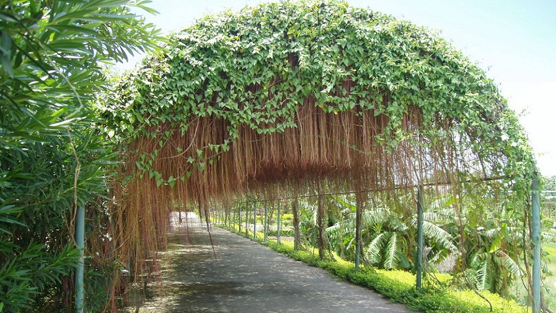 光明农场大观园