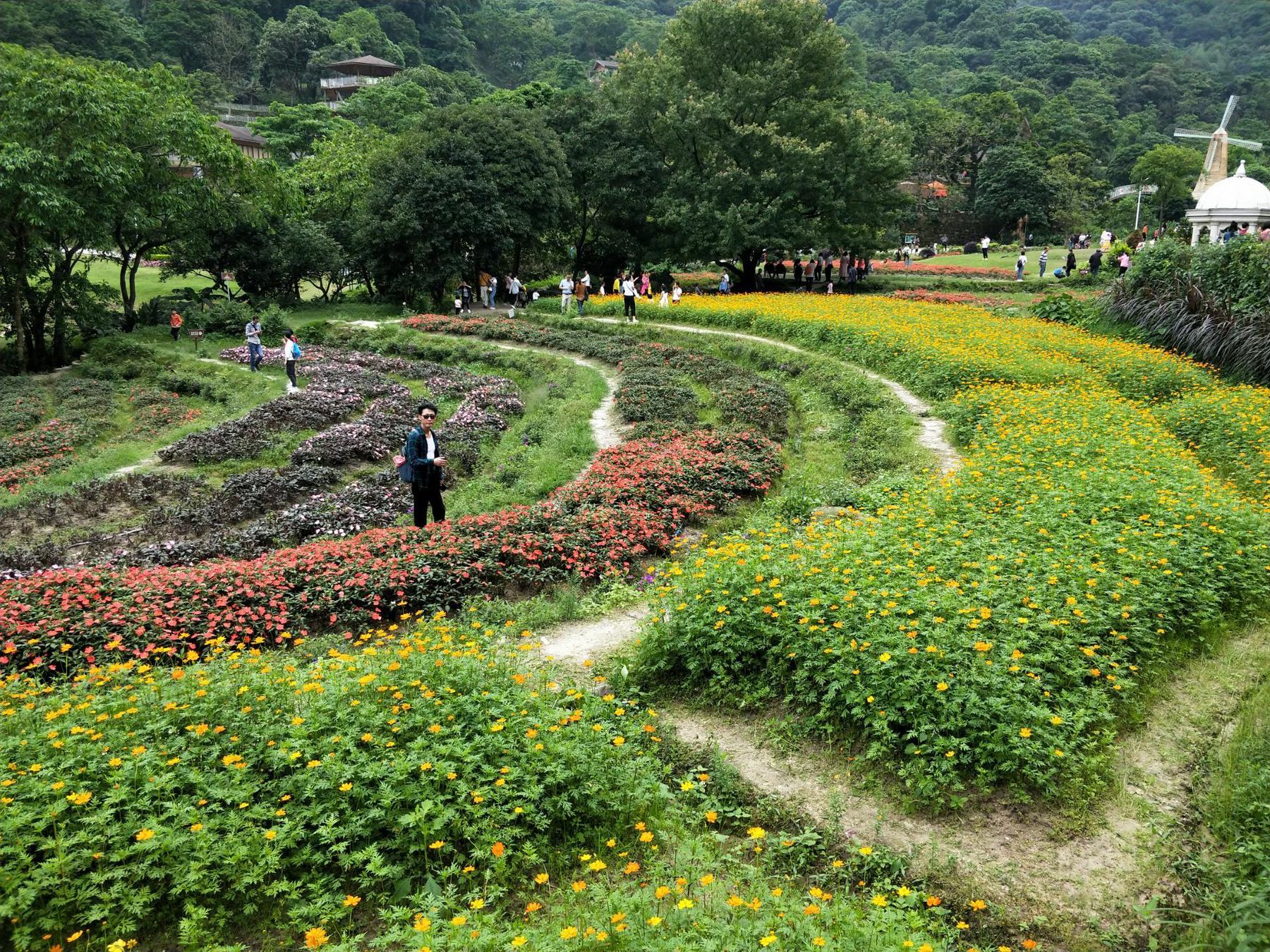 星罗纪大森林景区