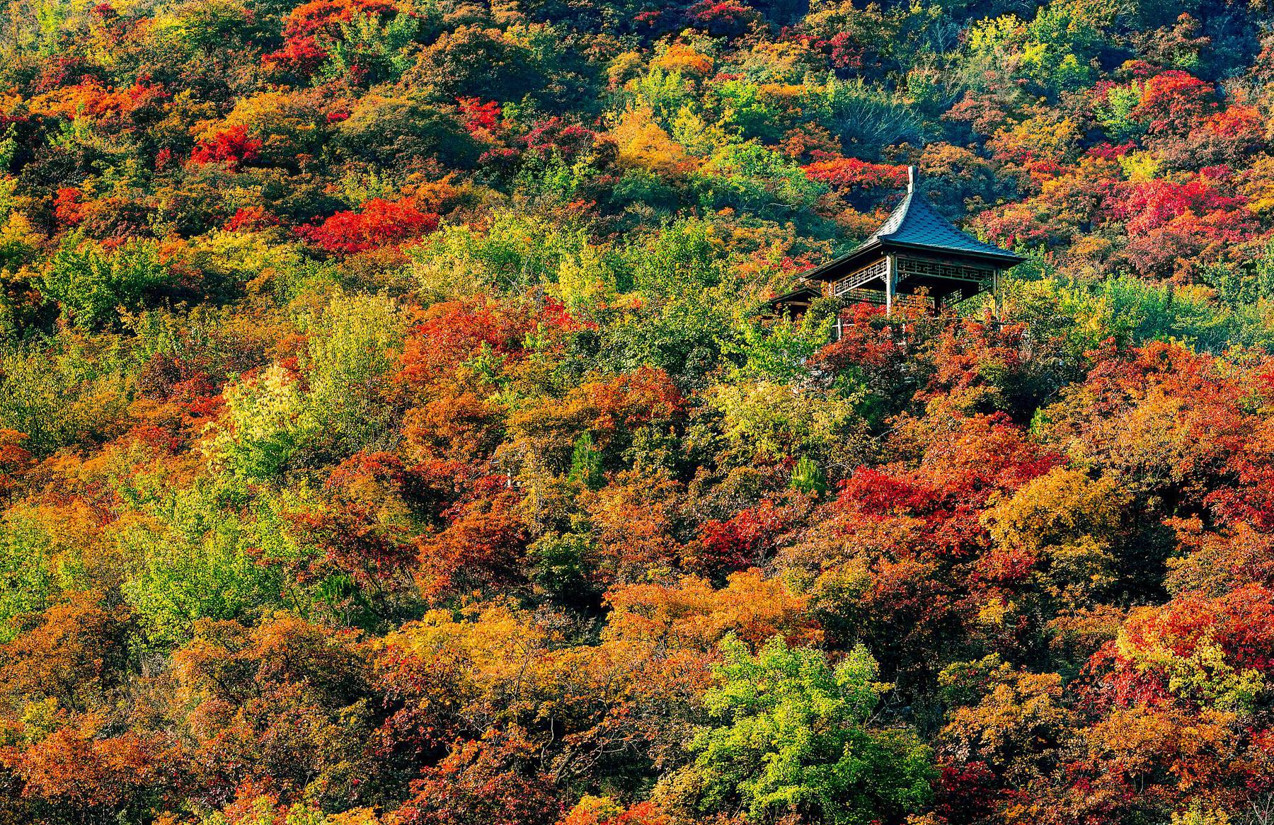 周口店坡峰岭风景区