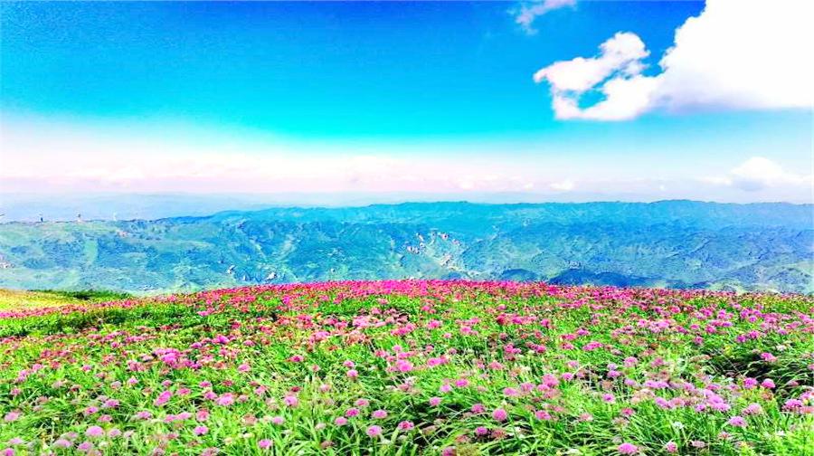 阿西里西·韭菜坪