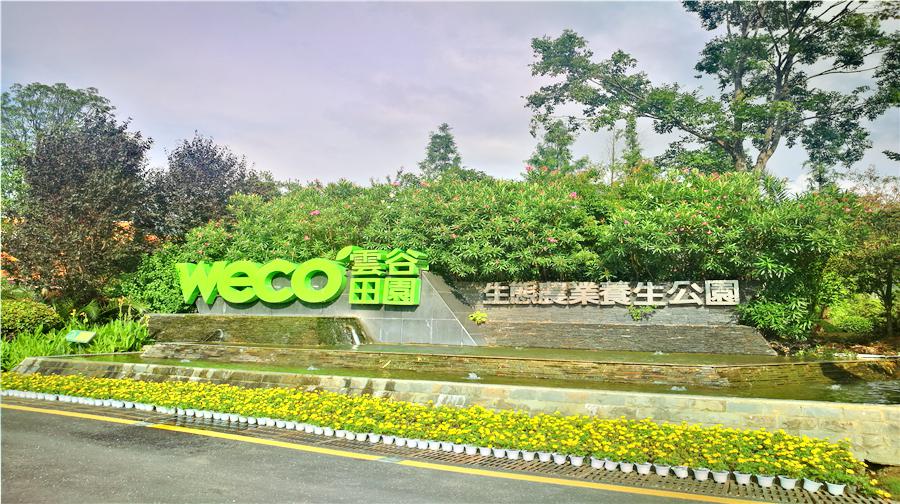 云谷田园·生态观景餐厅