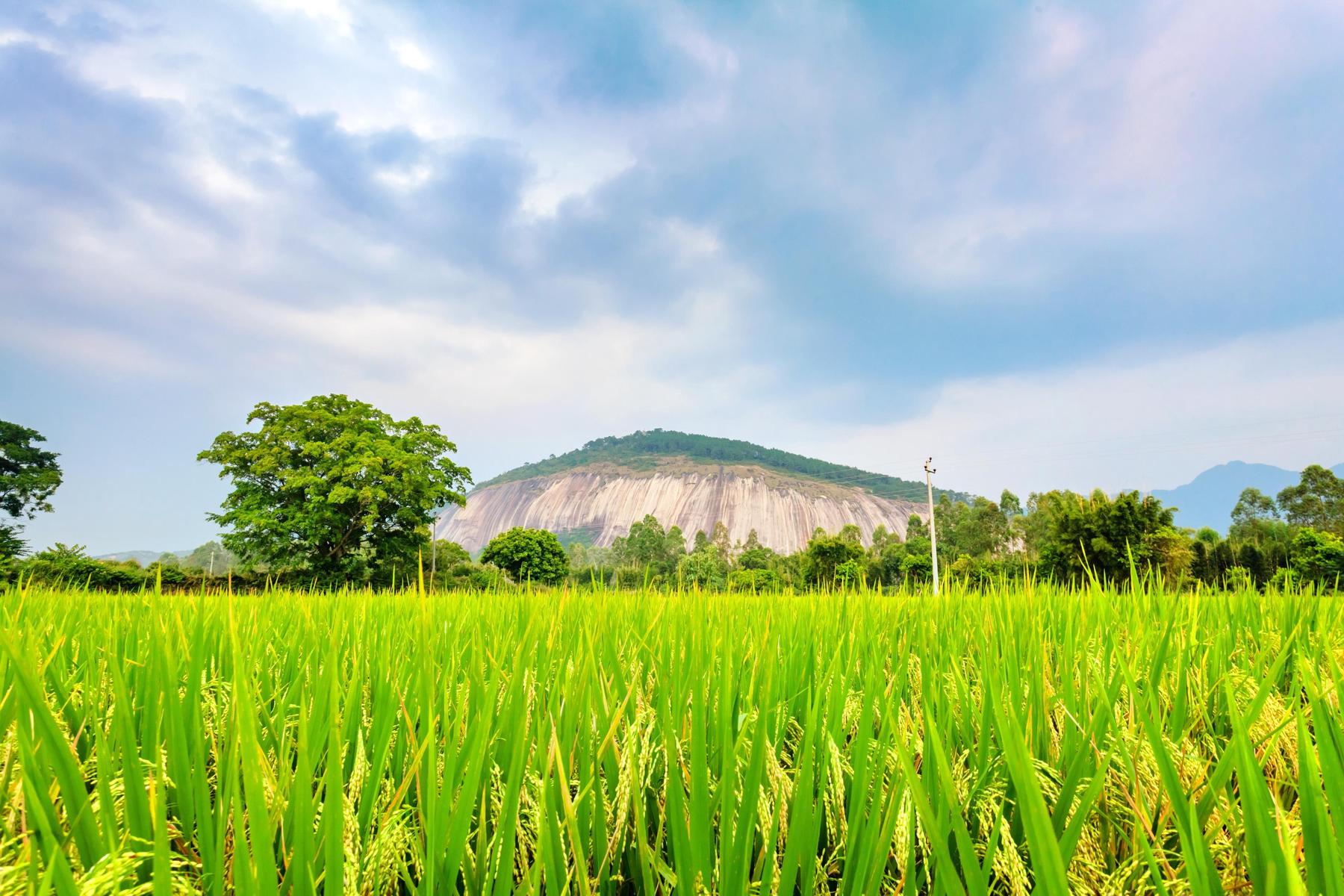 大斑石景区