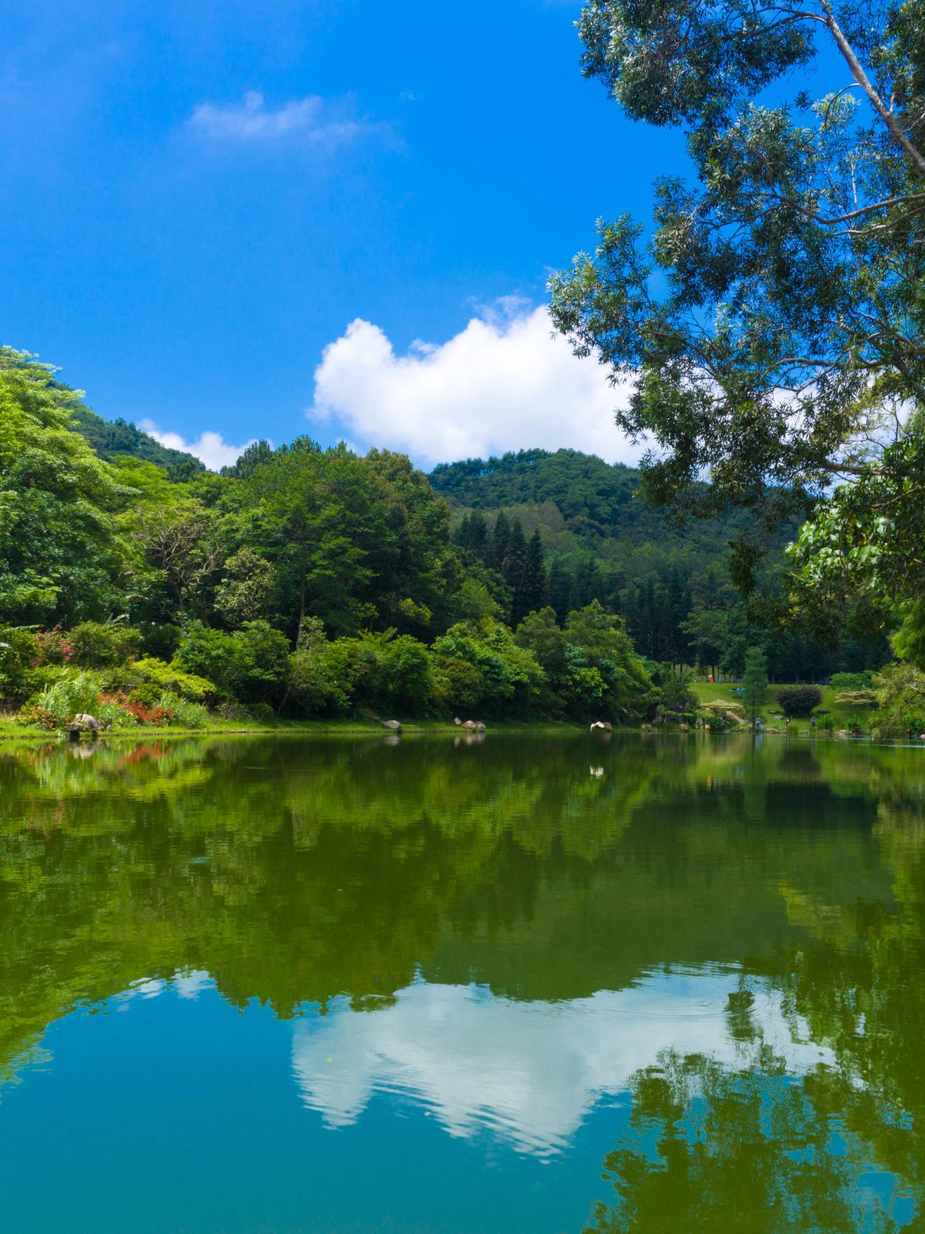 深圳仙湖植物园