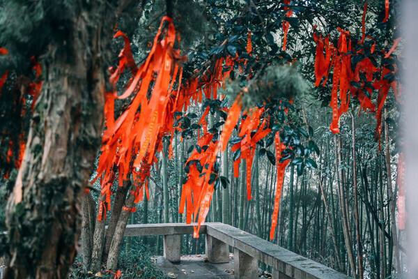 君山岛景区