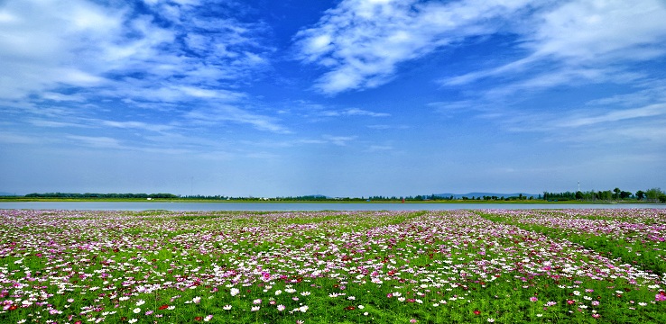 固城湖水慢城