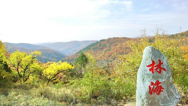 劳山国家森林公园