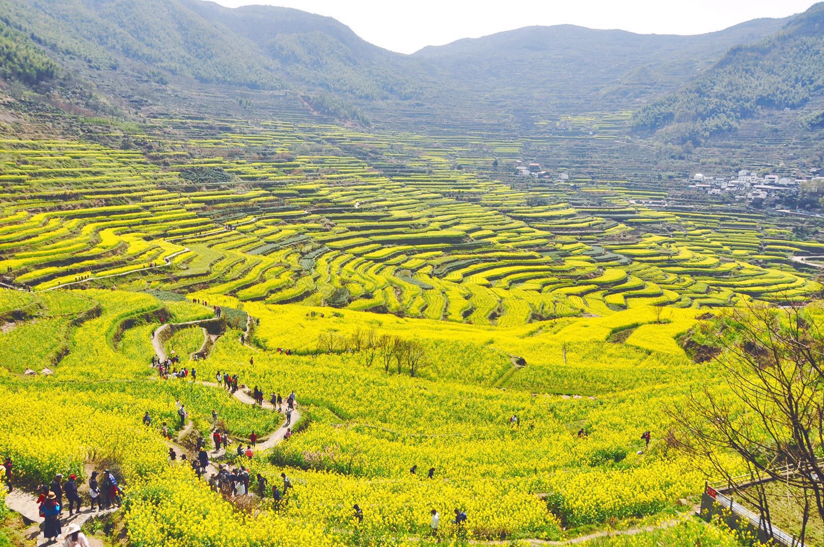 绍兴覆卮山景区