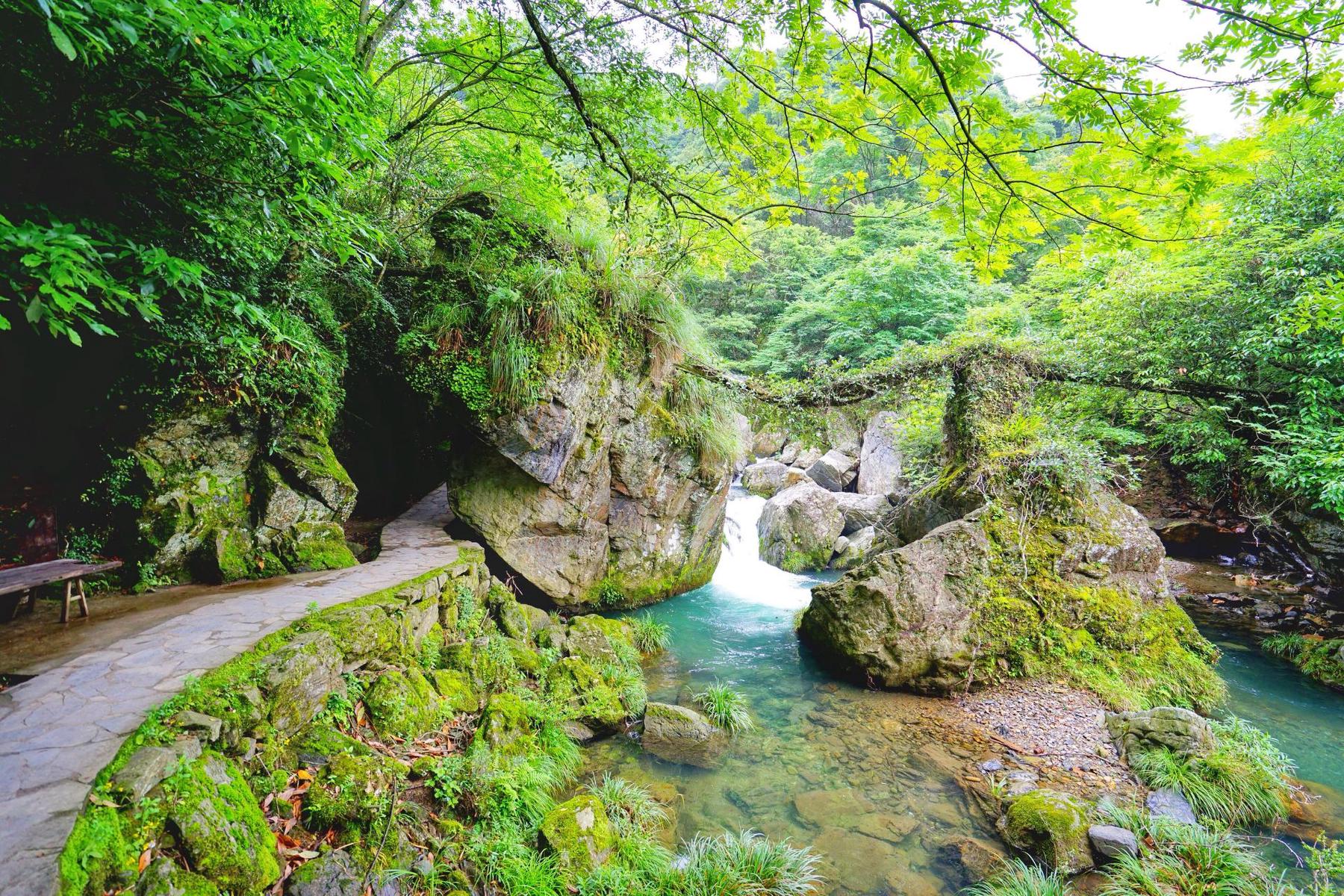 仙寓山景区