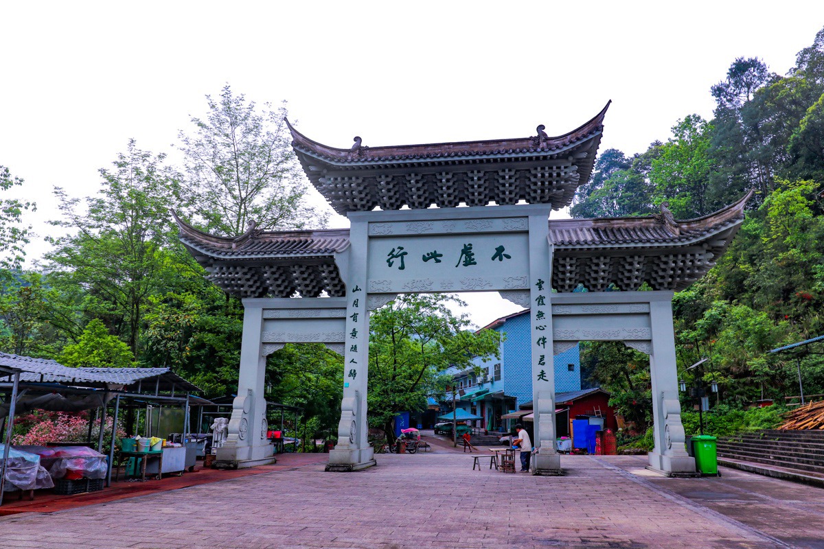 飞鸽林场