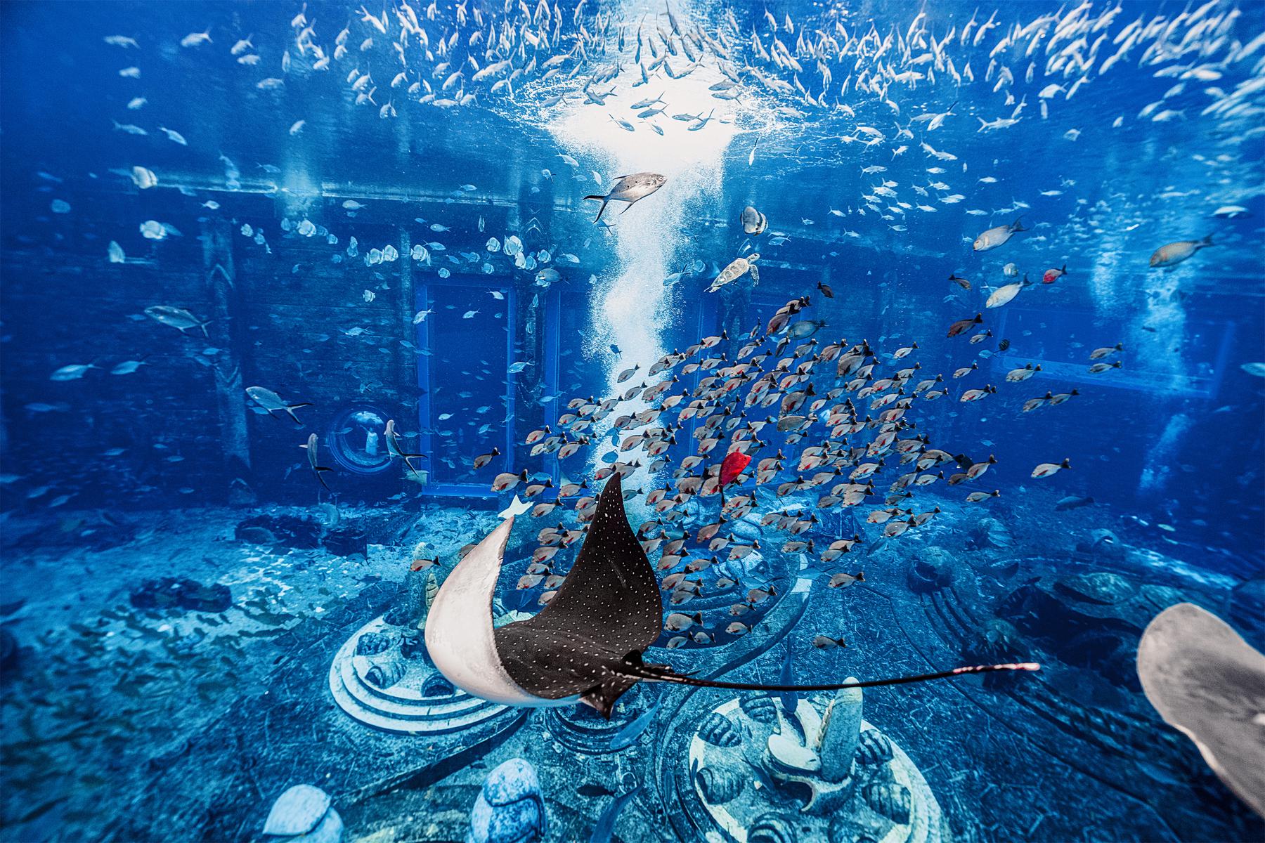 亚特兰蒂斯失落的空间水族馆