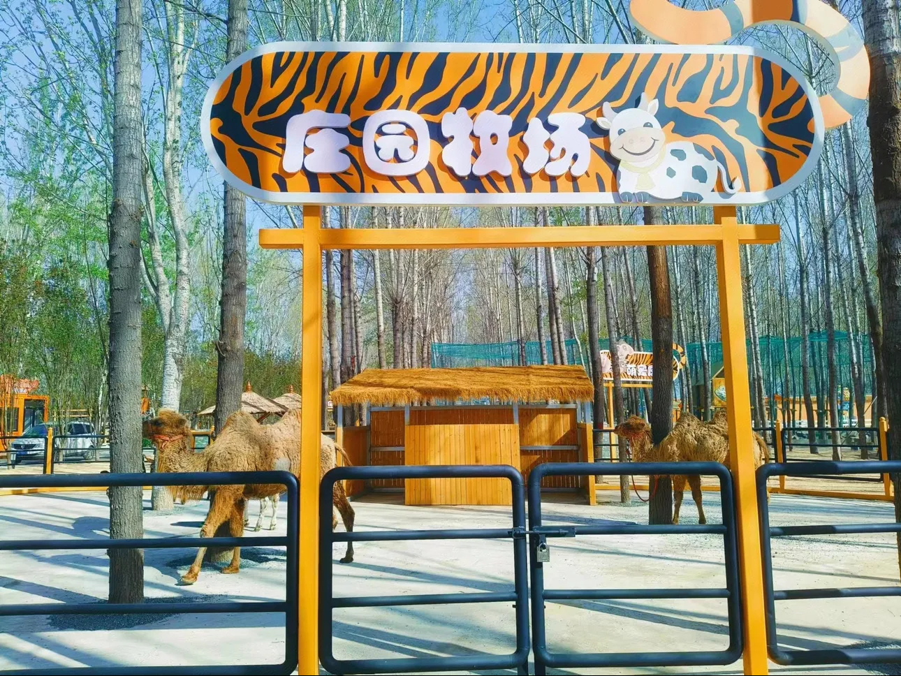 顺义虎乐园