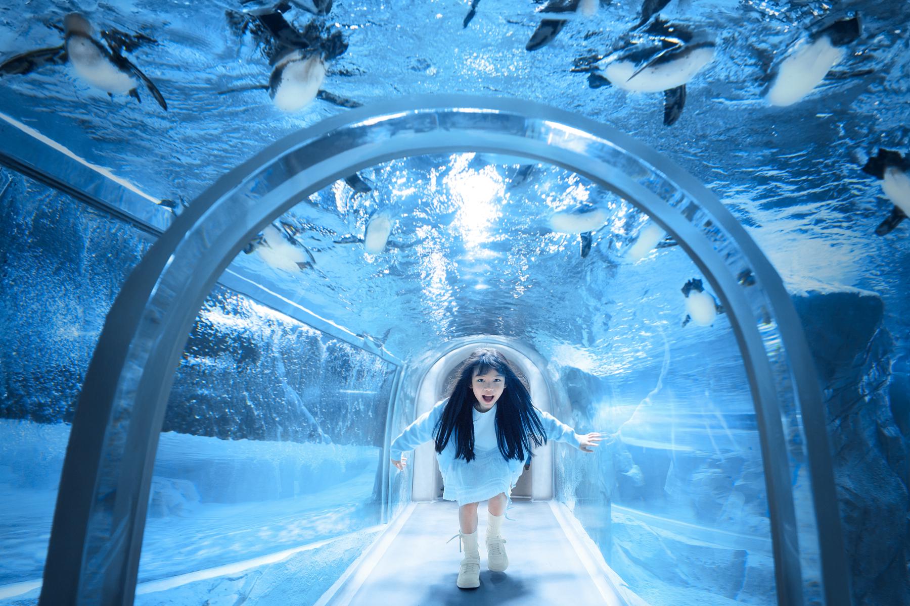 上海长风海洋世界