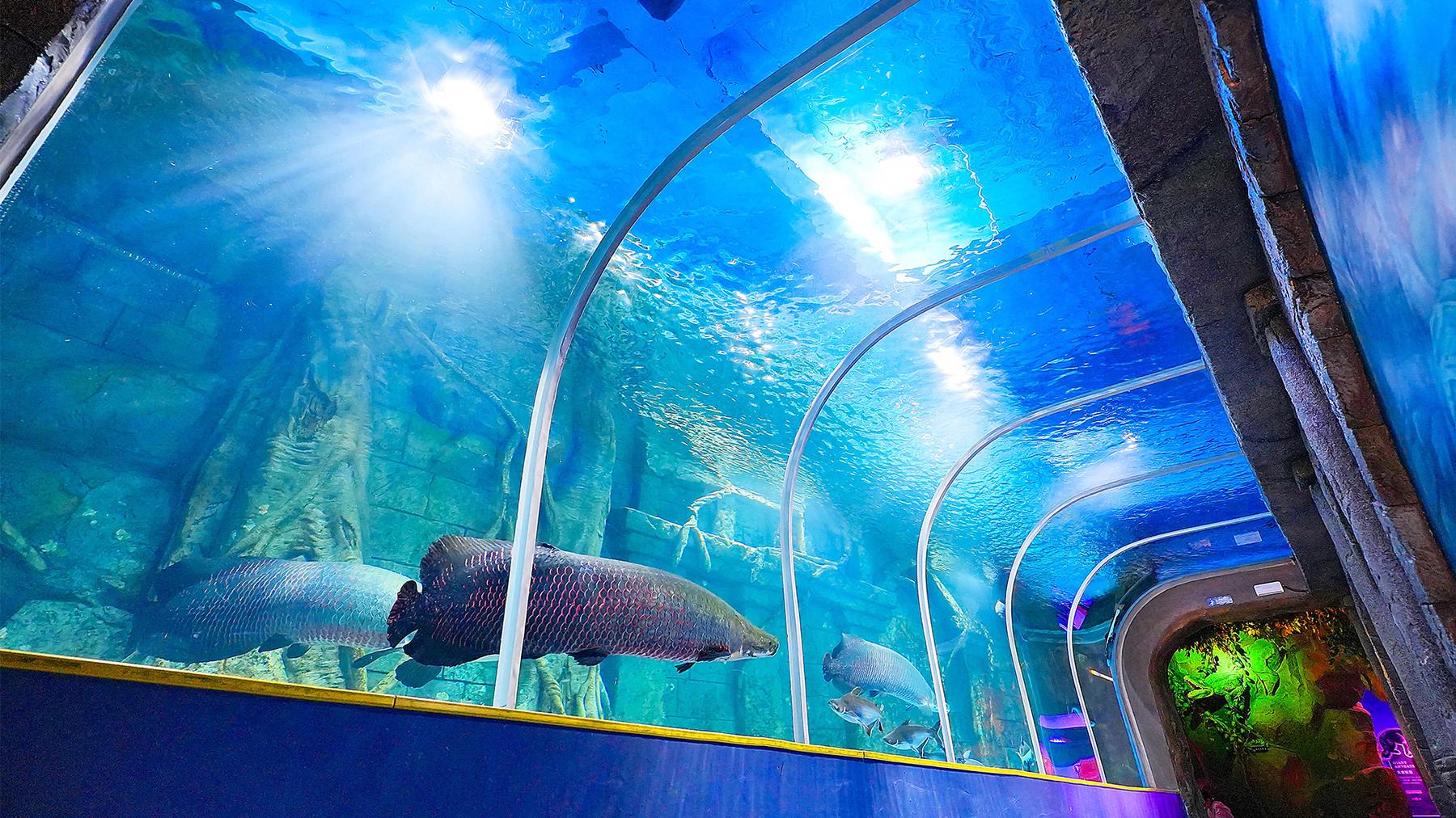 深圳观澜海洋世界