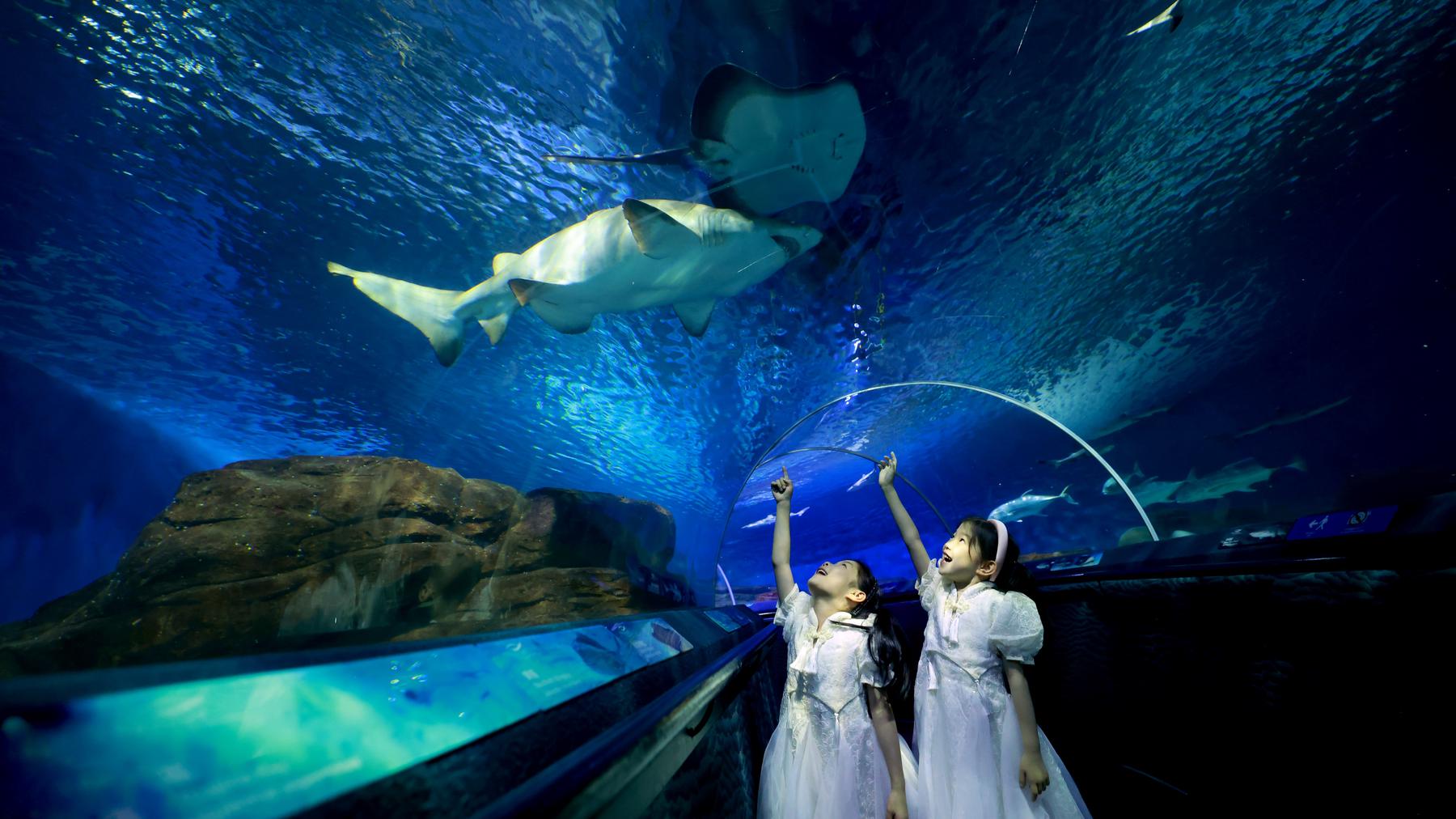 上海海洋水族馆