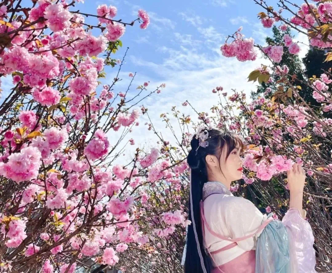 光明农场大观园